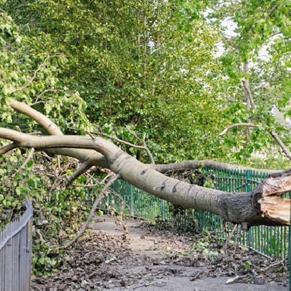 Why Roof Inspections Are Vital After Storm Arwen