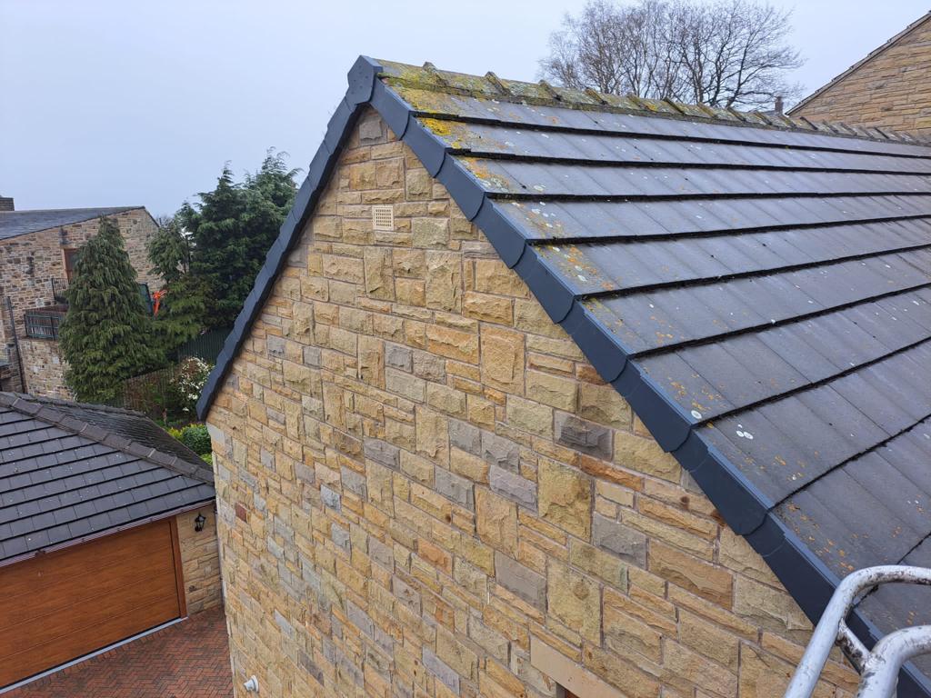 September Roof Maintenance: Preventing Moss and Algae Growth