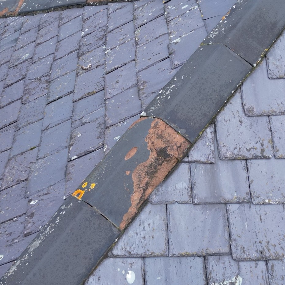 January Roof Leaks: How to Tell If It’s Tiles, Flashing or Pointing
